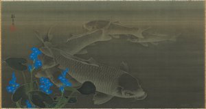Carp, Edo Period by Toko Kuroda